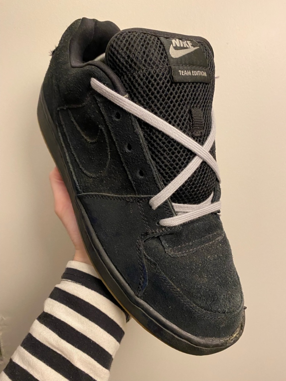 Nike SB Team Edition